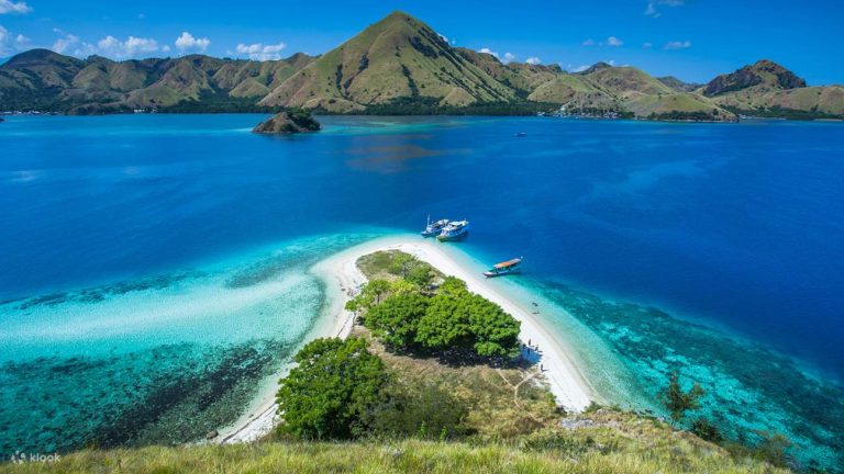 KomodoHalfDaySpeedboatTourfromLabuanBajo